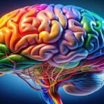 como o cerebro organiza nossas memorias e como usar o palacio da memoria para melhorar seu aprendizado
